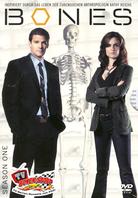 Bones Staffel 1
