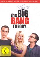 The Big Bang Theory Staffel 1